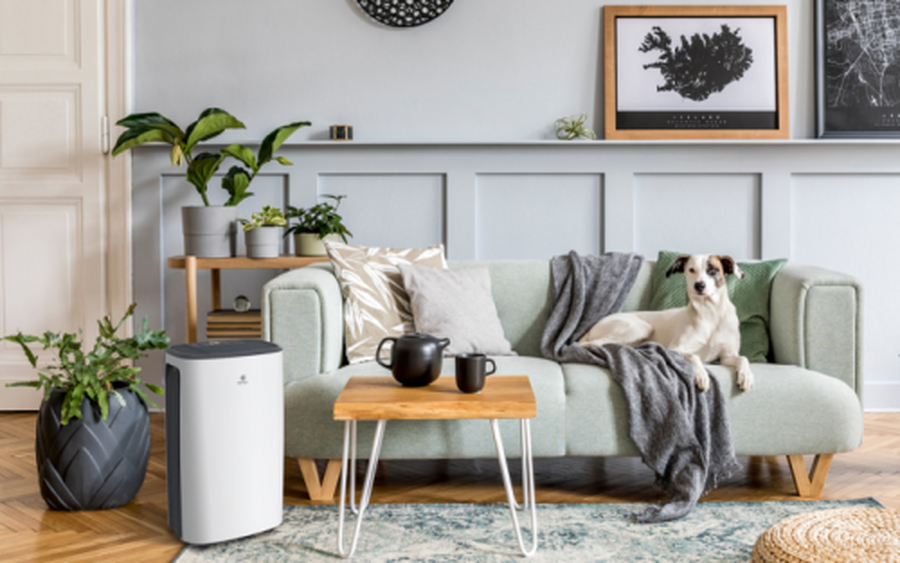 Осушитель воздуха серии CARISMA Loft RD-CR20-E - отопление, вентиляция и кондиционирование